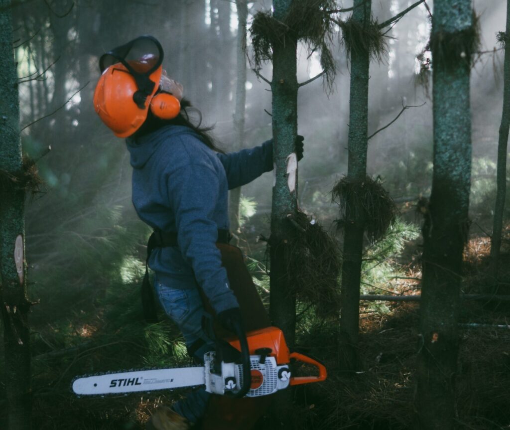 Trying Forester Jobs in Australia