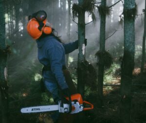 Trying Forester Jobs in Australia