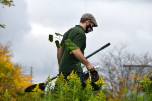 Trying Gardener Jobs in France